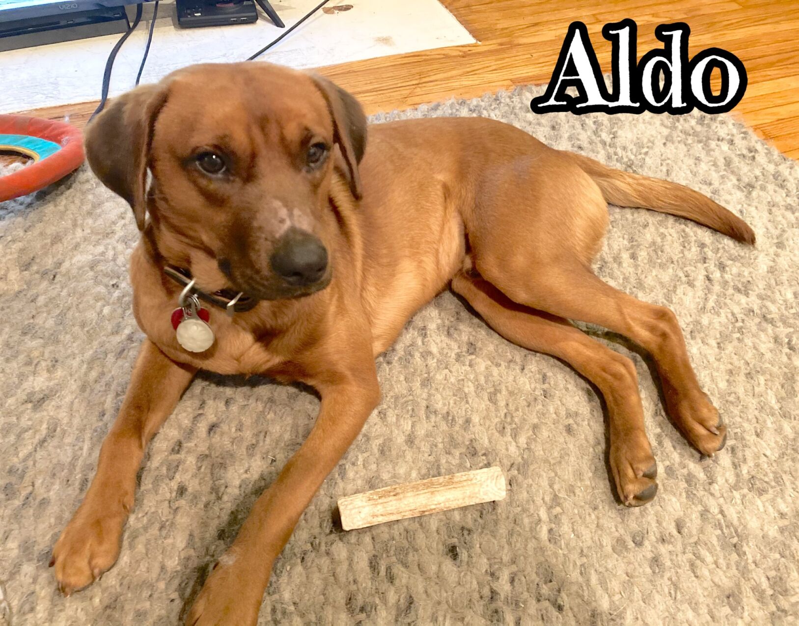 Aldo